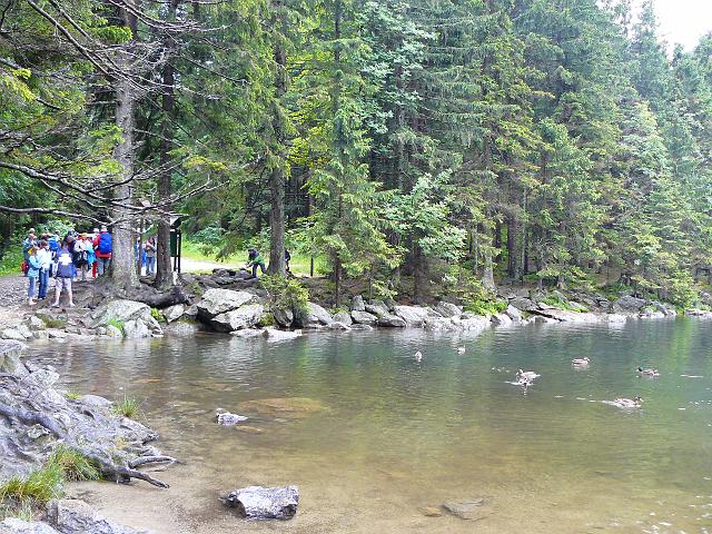 Šumava 2007