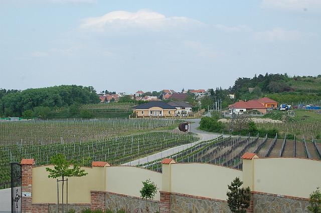 Pálava 2009